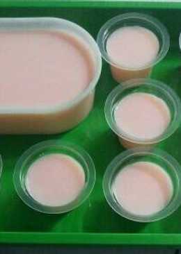 Puding susu nutrijel lembut