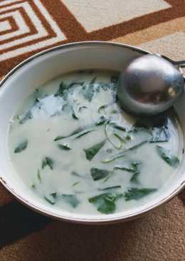 Sayur bobor bayam