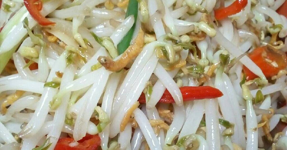 49 resep cah tauge ikan teri medan enak dan sederhana 49 resep cah tauge ikan teri medan enak dan sederhana