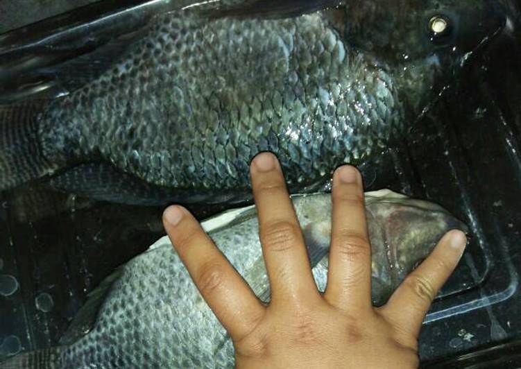 Resep Ikan mujaer bumbu merah / sambel pelecing