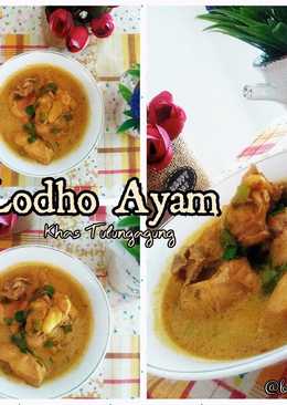 Lodho Ayam khas Tulungagung ðŸ—#ketofriendly #ketofy #debm #kare #kari #opor kuning