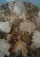 Kolak kacang hijau & roti tawar ta2bee2