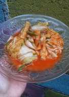 Tradisional kimchi