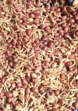Goreng ikan teri kacang