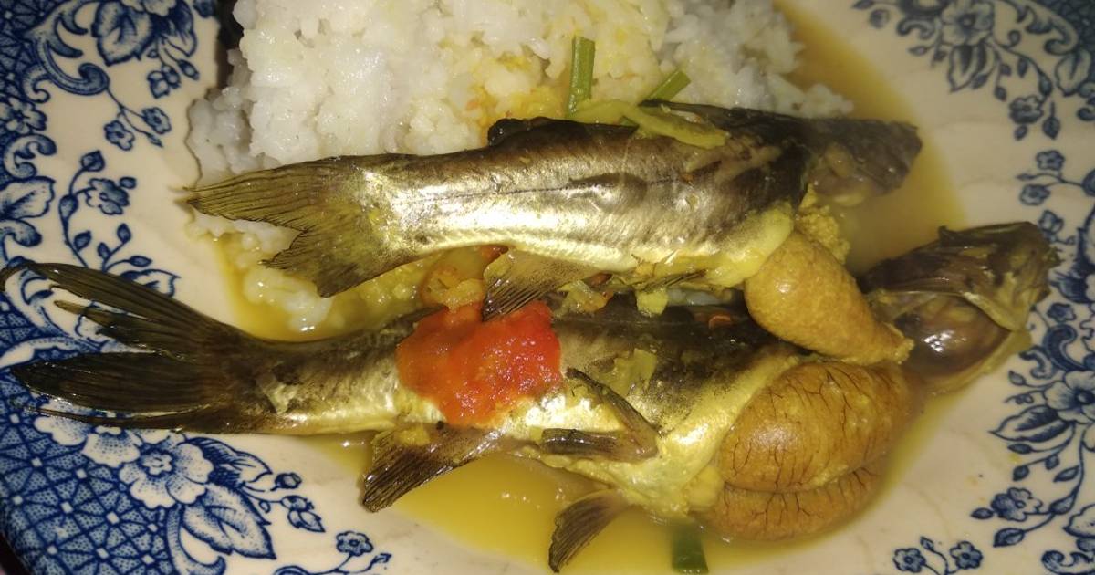 44 resep olahan ikan keting enak dan sederhana - Cookpad