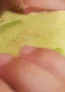 Ice cream alpuket keto