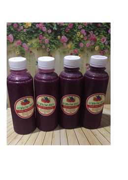 Diet Juice Blueberry Blackberry Banana Dragon Fruit