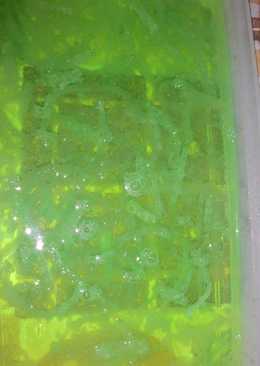 Agar agar rumput laut