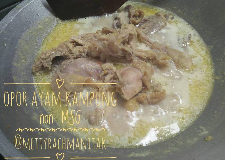 Resep Opor ayam kampung non msg