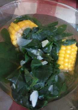 Sayur Daun Katuk