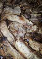 Sale pisang simple