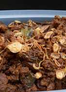 Rendang suwir