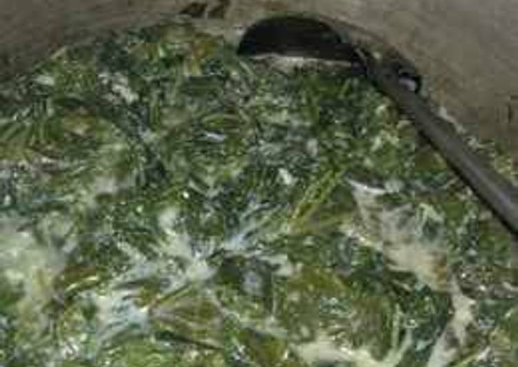 gambar untuk resep makanan Bobor daun singkong (masak santan putih)