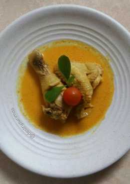 Ayam kuah santan (chicken coconut milk soup) / opor ayam