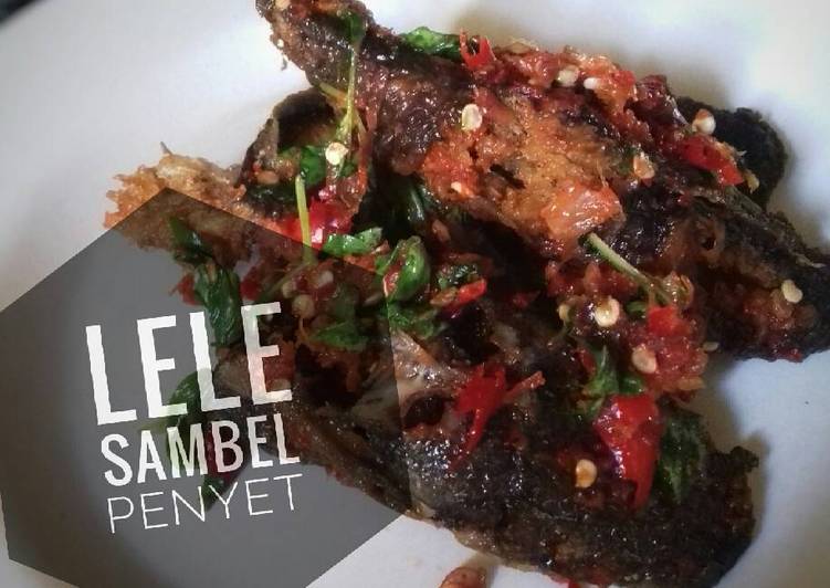 bahan dan cara membuat Lele Sambel Penyet