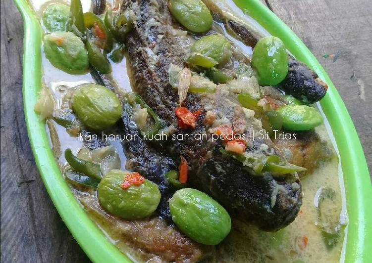 Resep Ikan  Haruan  ikan  gabus  kuah santan oleh Sii Trias 