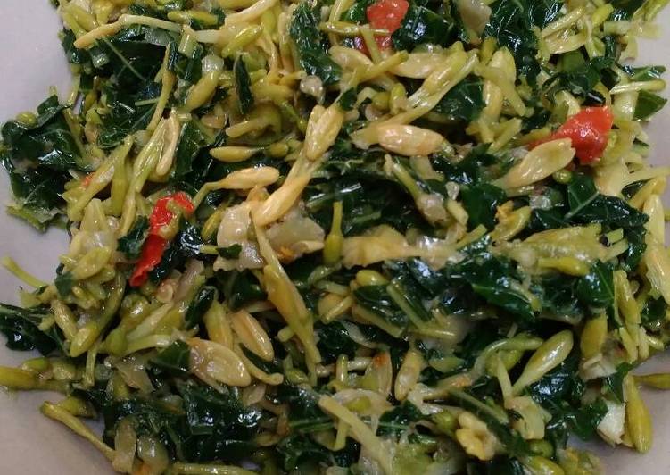  Resep Tumis daun dan bunga pepaya tanah liat oleh fuji 