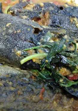 2 June 2018 - Lele Kuning kemangi