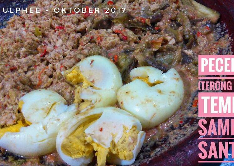 resep lengkap untuk Pecel 3T (Terong + Tempe dan Telor) sambal santan.