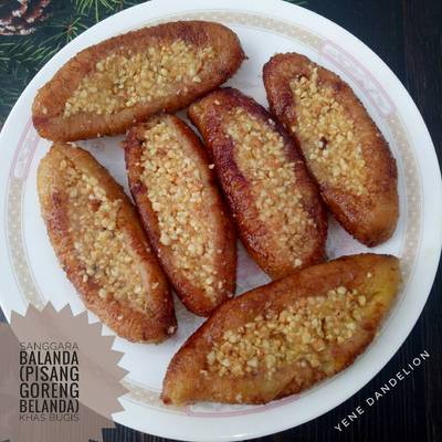 Hasil gambar untuk sanggara balanda