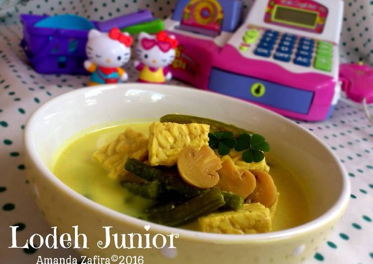 resep lengkap untuk Lodeh Junior (Menu si kecil)