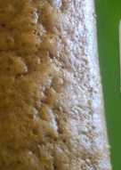 Bolu Kukus Kurma Keju No Mixer