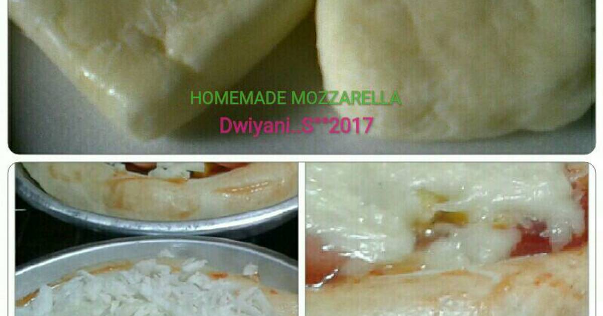 1 333 resep  keju mozarella  homemade enak dan sederhana 