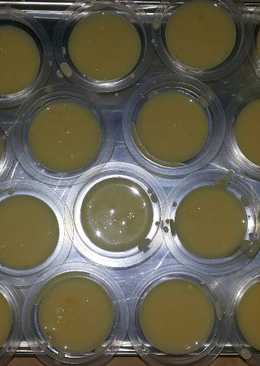 Puding jagung susu