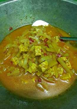 Sayur santan labu siam + tempe