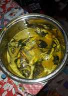 Mujaher masam jeng gayo aceh