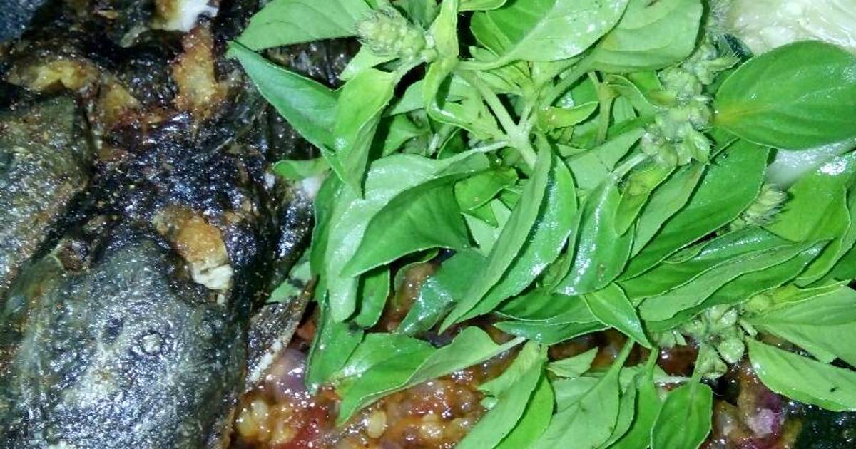 Resep Penyet  Lele  Sambal  Bawang oleh DiannaFoodDiary Cookpad