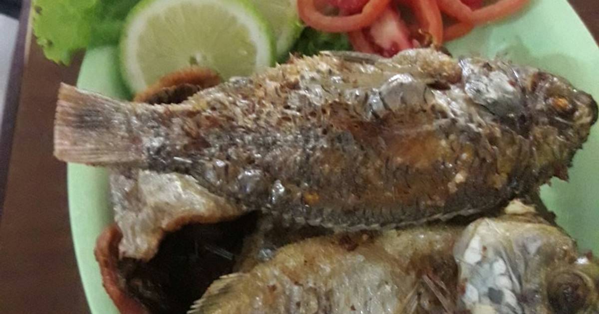 182 resep ikan mujair goreng enak dan sederhana - Cookpad
