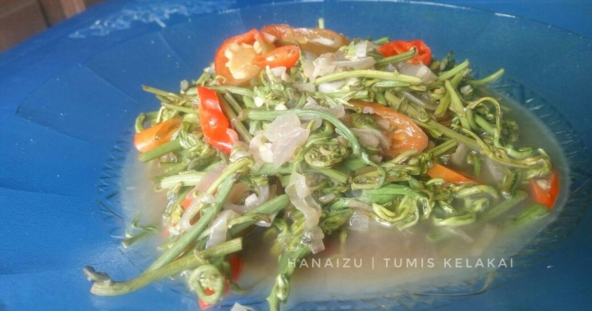 789 resep daun pakis enak dan sederhana Cookpad