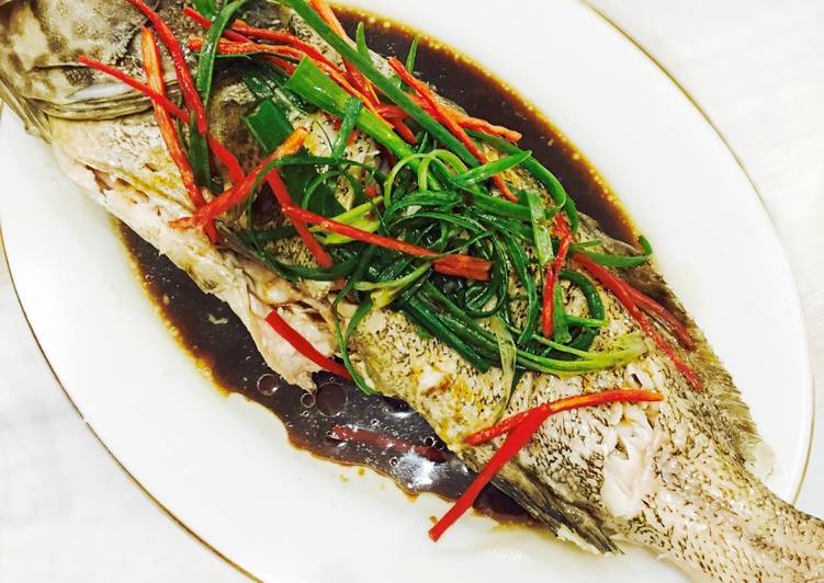 Resep Tim ikan kerapu ala Hongkong Oleh Evi Can Cook