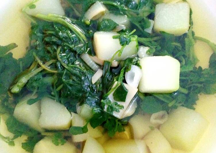 resep Sayur bening labu siam dan selada