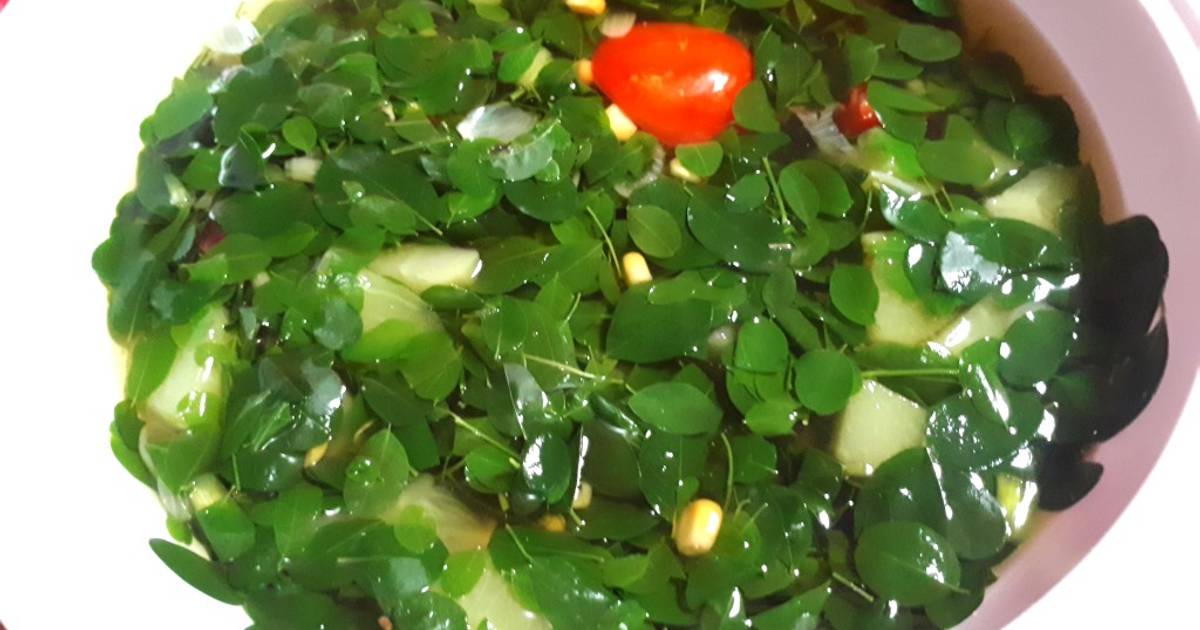 295 resep masakan daun kelor enak dan sederhana Cookpad