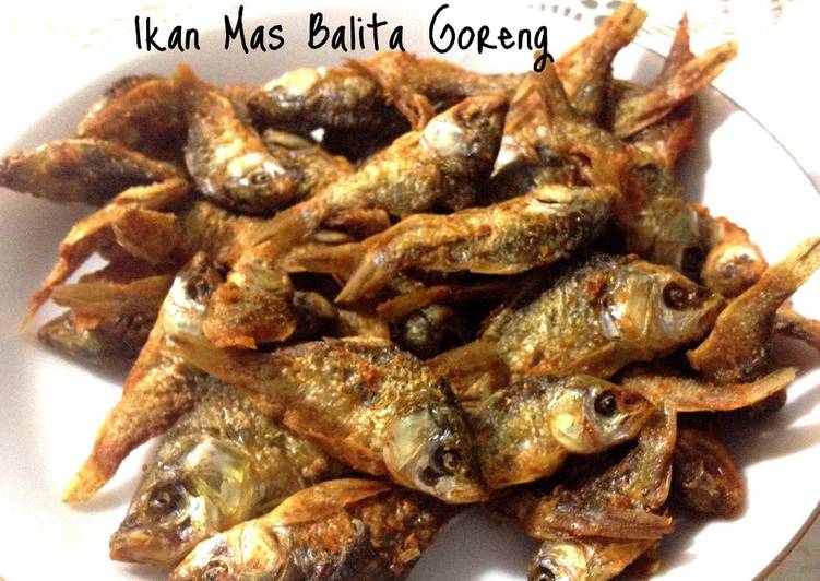 Ikan Mas Balita Goreng Foto Resep Utama Ikan Mas Balita Goreng Foto Resep Utama