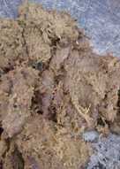 Daging gepuk enak lho