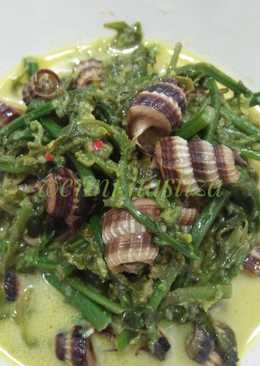 Siput Sedut gulai pakis