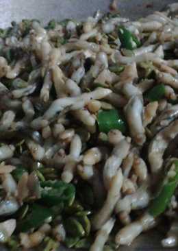 Tumis Kerang Bambu (papahat) Petai cina