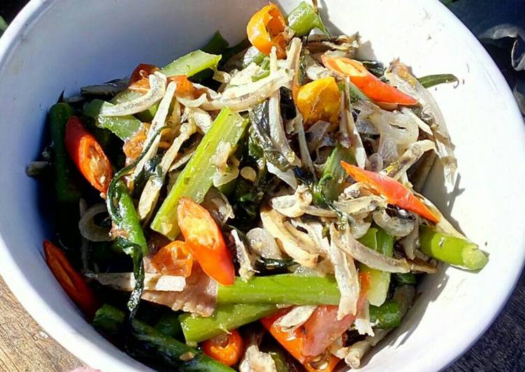 resep makanan Tumis sayur pakis/ paku.teri