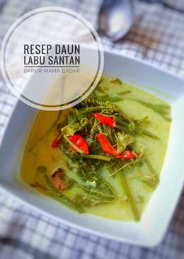 Sayur Daun Labu Santan