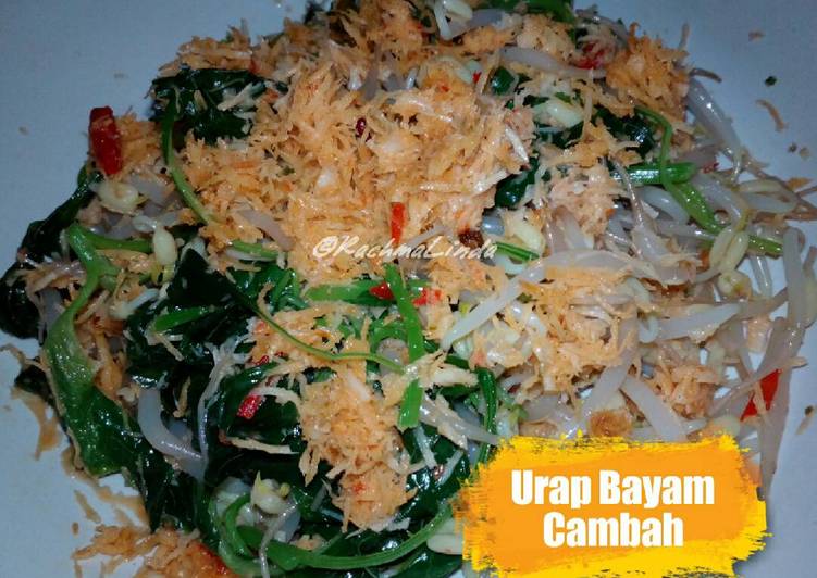 resep makanan Urap Bayam Cambah