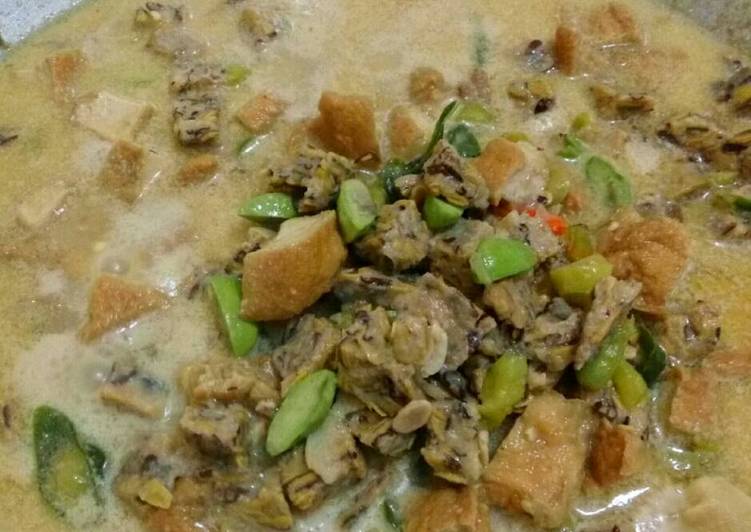 resep lengkap untuk Sayur setan tempe mlanding khas wonogiri