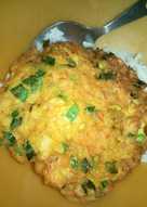 Telor dadar fuyunghay / omelet sayur simpel dan murah