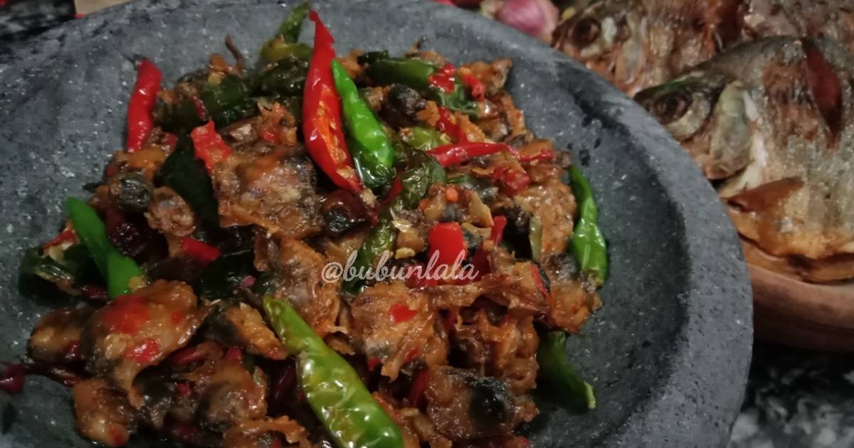 8 resep kerang lala enak dan sederhana - Cookpad