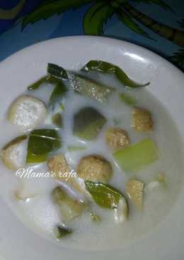 Sayur lodeh tahu campur