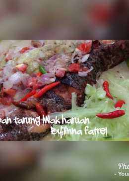 Cacapan tarung babanam iwak haruan(Ikan gabus)