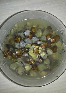 Kerang kecil
