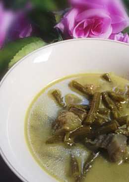 Sayur Lodeh Terong No Tumis No Uleg No Ribet aka Plung"